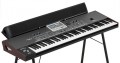 KORG PA3X LE